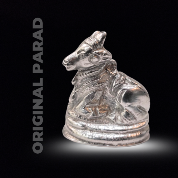 Original Parad (Mercury) Nandi 100 gm (PAND-001) - Image 5