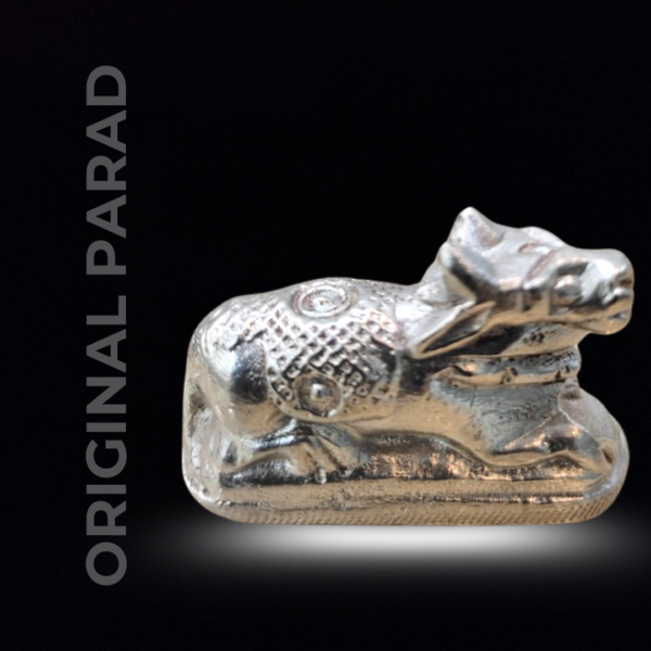 Original Parad (Mercury) Nandi 70 gm (PAND-003) - Image 4