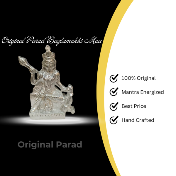 Original Parad Bagalamukhi Murti - 400 Gm (PABM-001) - Image 5