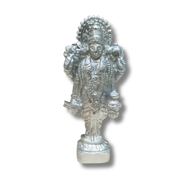 Parad-Dhanvantari-Maa