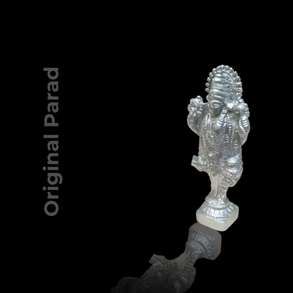 Original Parad Dhanvantari / Mercury Dhanvantari Mata Idol Statue - 100 gm (PADH-001) - Image 3