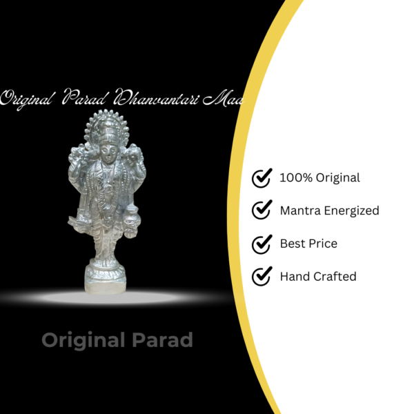 Original Parad Dhanvantari / Mercury Dhanvantari Mata Idol Statue - 100 gm (PADH-001) - Image 5