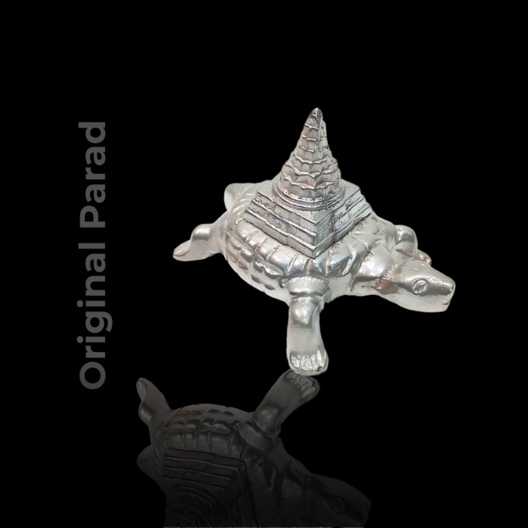 Kachap Original Parad (Mercury) Meru Kachap Shri Yantra – 150 gm (PAMK-002 ...