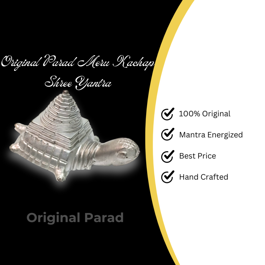Kachap Parad (Mercury) Meru Kachap Shri Yantra - 250 Gm (PAMK-001) - Original ...