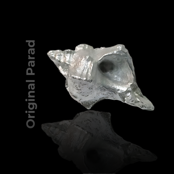 Original Parad Shankh (Mercury Shankh / Conch) 50 gm (PASH-002) - Image 3