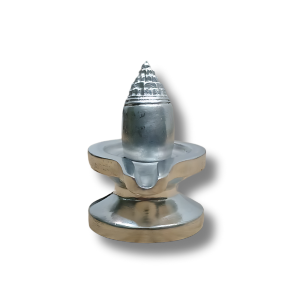 Original-Parad-Shree-Yantra-Shivling