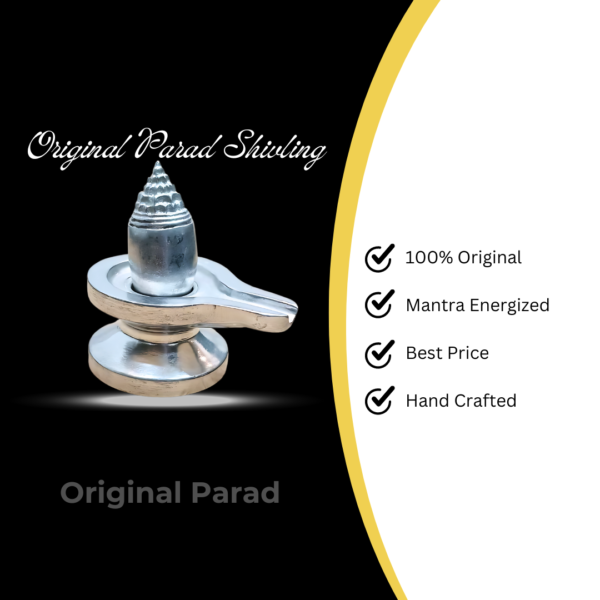 Original Parad Shree Yantra Shivling / Mercury Shri Yantra Shivling 200 gm (PASB-006) - Image 5