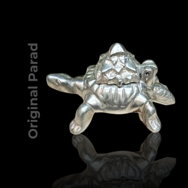 Original Parad Wish Fulfilment Tortoise / Icchapurti Kachua for Fulfilling Wish 200 gm (PAFT-001) - Image 6