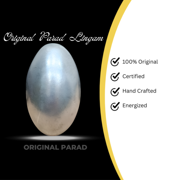 Original Parad Lingam / Mercury Shivlingam / Padrasam Lingam 1000 gm (PASL-004) - Image 5