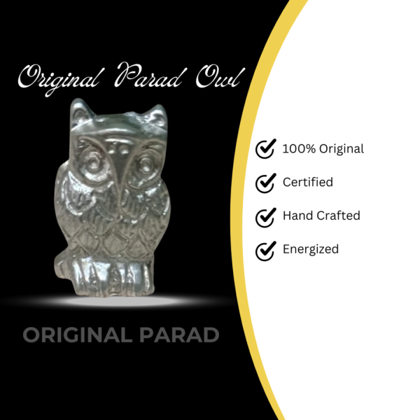 Original Parad (Mercury) Owl | Parad Ullu 40 gm (PAOW-001) - Image 5