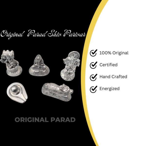 Original Parad Shiv Parivar / Family / Mercury Shiv Parivar Statue 250 gm (PASP-001) - Image 5