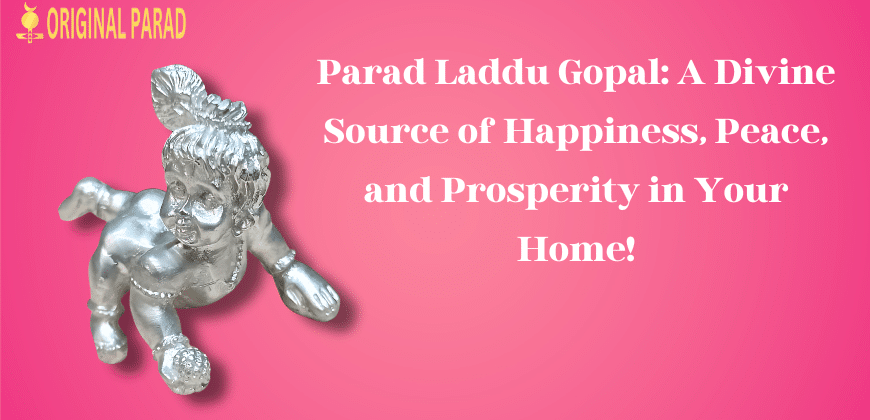 Parad Laddu Gopal Idol / Parad Kanha Ji Idol / Parad Laddu Gopal : Wonderful source of positive energy in home